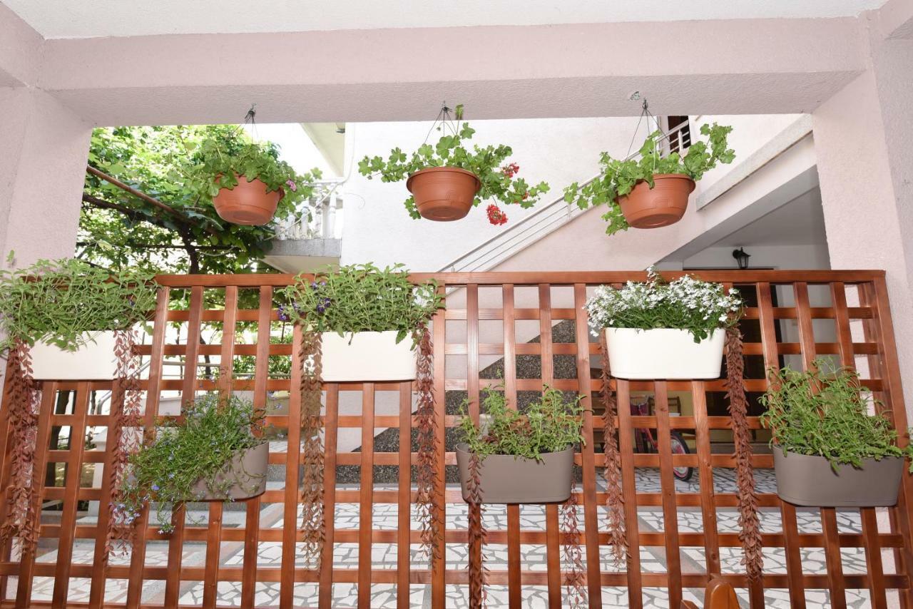 Guest House Zec Budva Ngoại thất bức ảnh