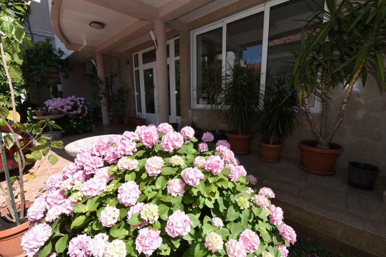 Guest House Zec Budva Ngoại thất bức ảnh